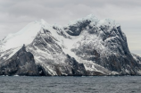 急遽重要通知！南极发现了25亿年前的植物遗迹！